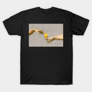 scritching a sun conure #full T-Shirt